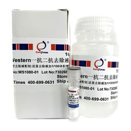 Western一抗二抗去除液（中性，劇烈型）